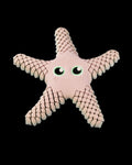 Sandy, the Sea Star — Large Decorative Collectible (18cm)