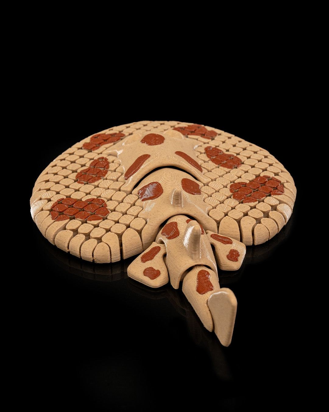 Lexi, the Electric Ray — Large Decorative Collectible (18cm)