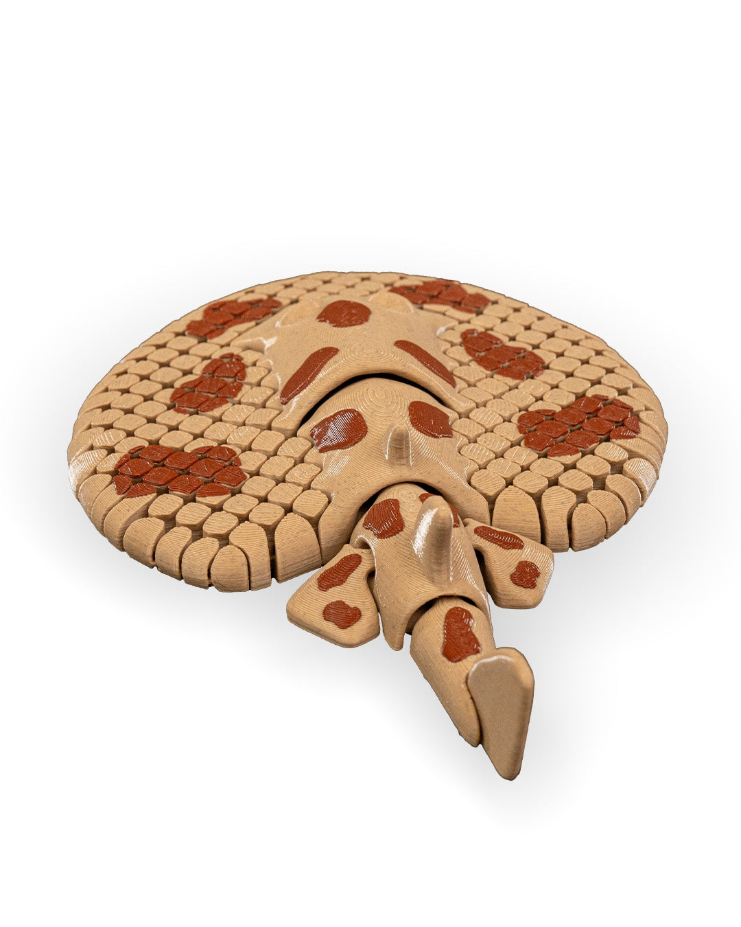 Lexi, the Electric Ray — Large Decorative Collectible (18cm)