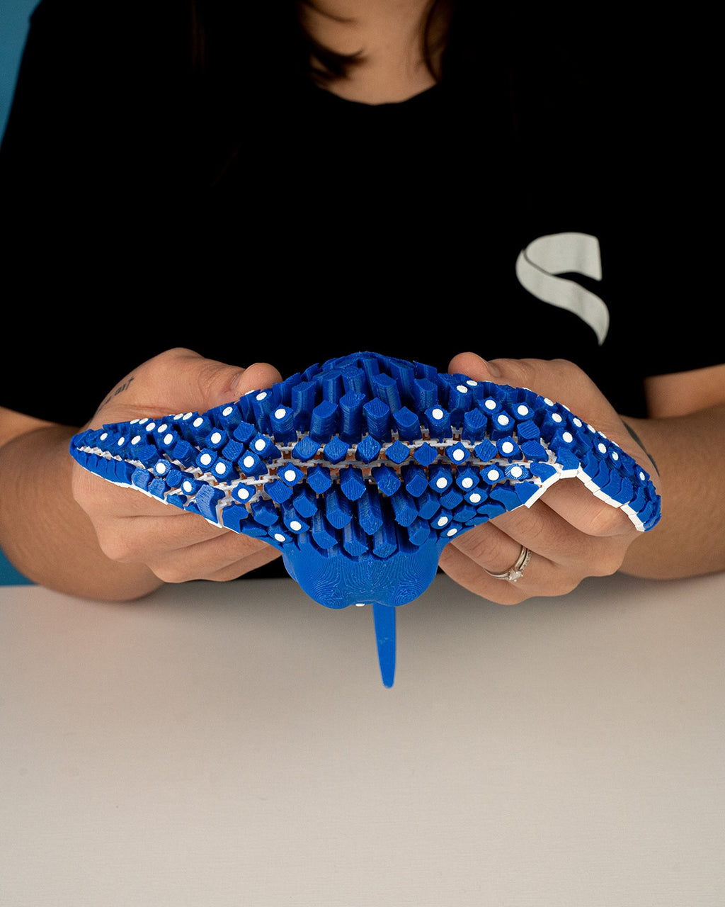 Igor, the Spotted Eagle Ray — Large Decorative Collectible (16cm)