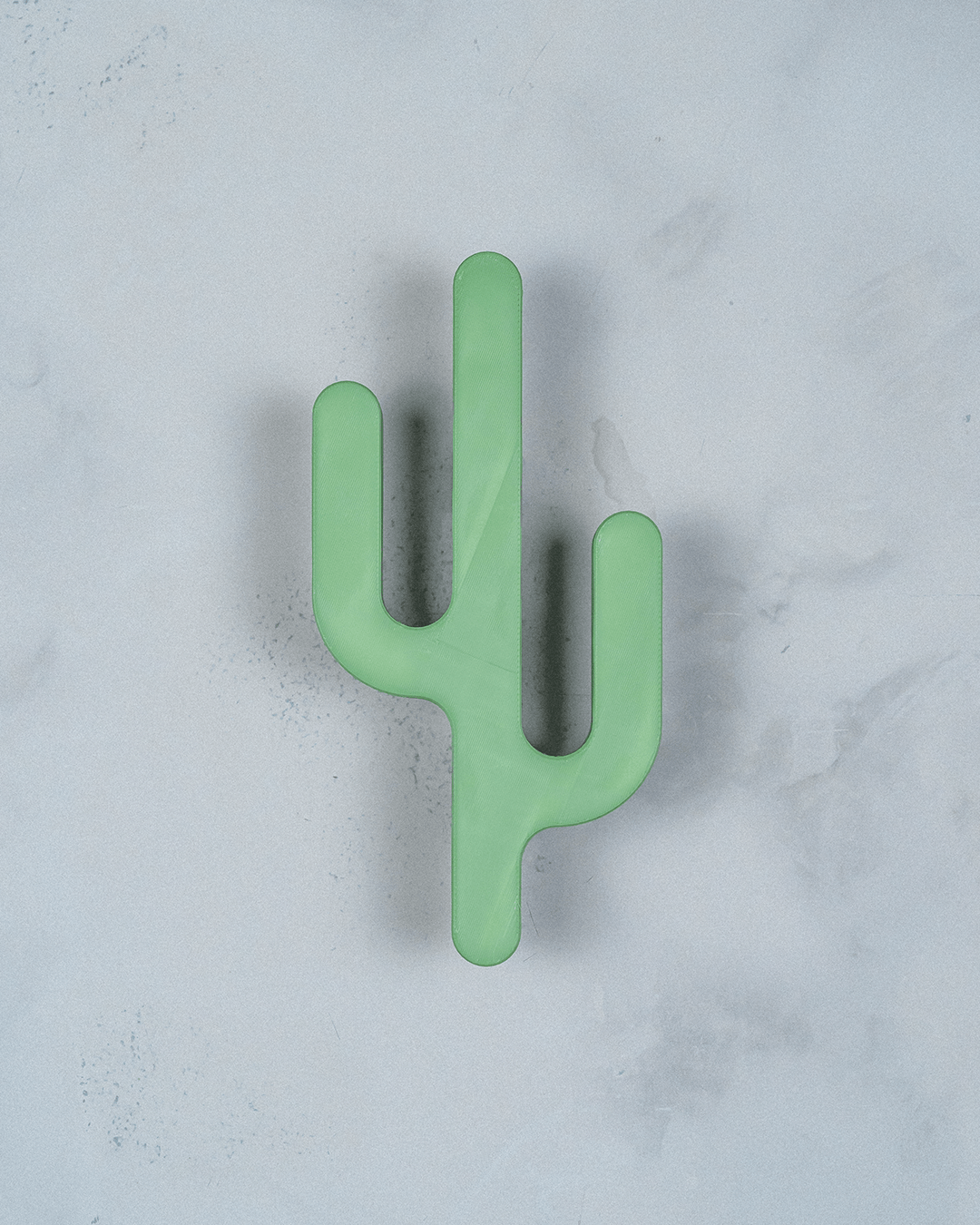 Desert Hook — Cactus Wall Hanger