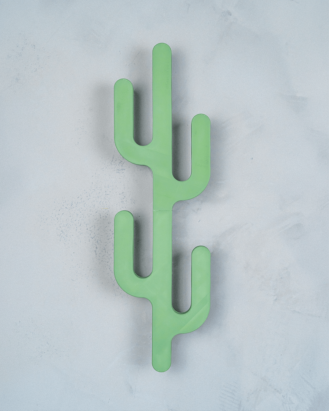 Desert Hook — Cactus Wall Hanger