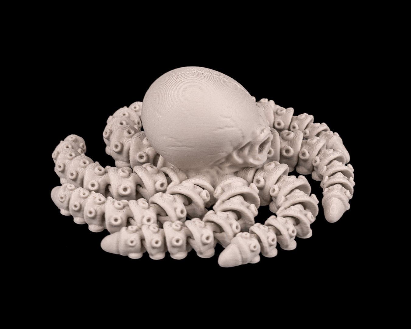 3D Printed Articulated Skeleton Octopus — Poseable Decorative Collectible